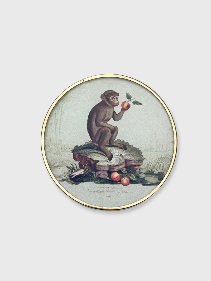 Vintage Style Coaster - Monkey