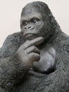 Silverback Gorilla Monkey Giving the Finger