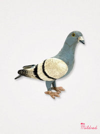 Peter Pigeon Statue - Cast Iron