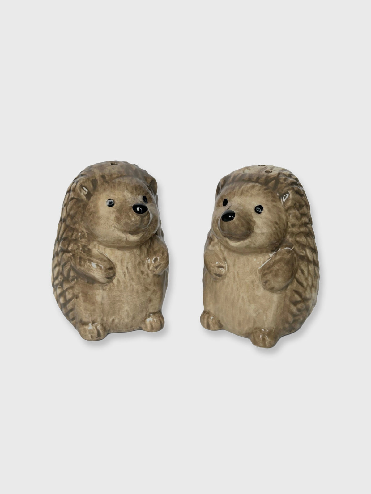 Hedgehog Shaped Salt and Pepper Pot Shaker Set