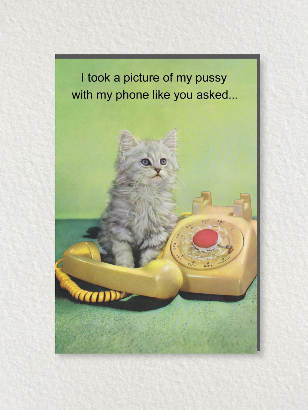 Greeting Card - I Took A Picture Of My Pussy
