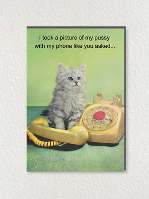 Greeting Card - I Took A Picture Of My Pussy