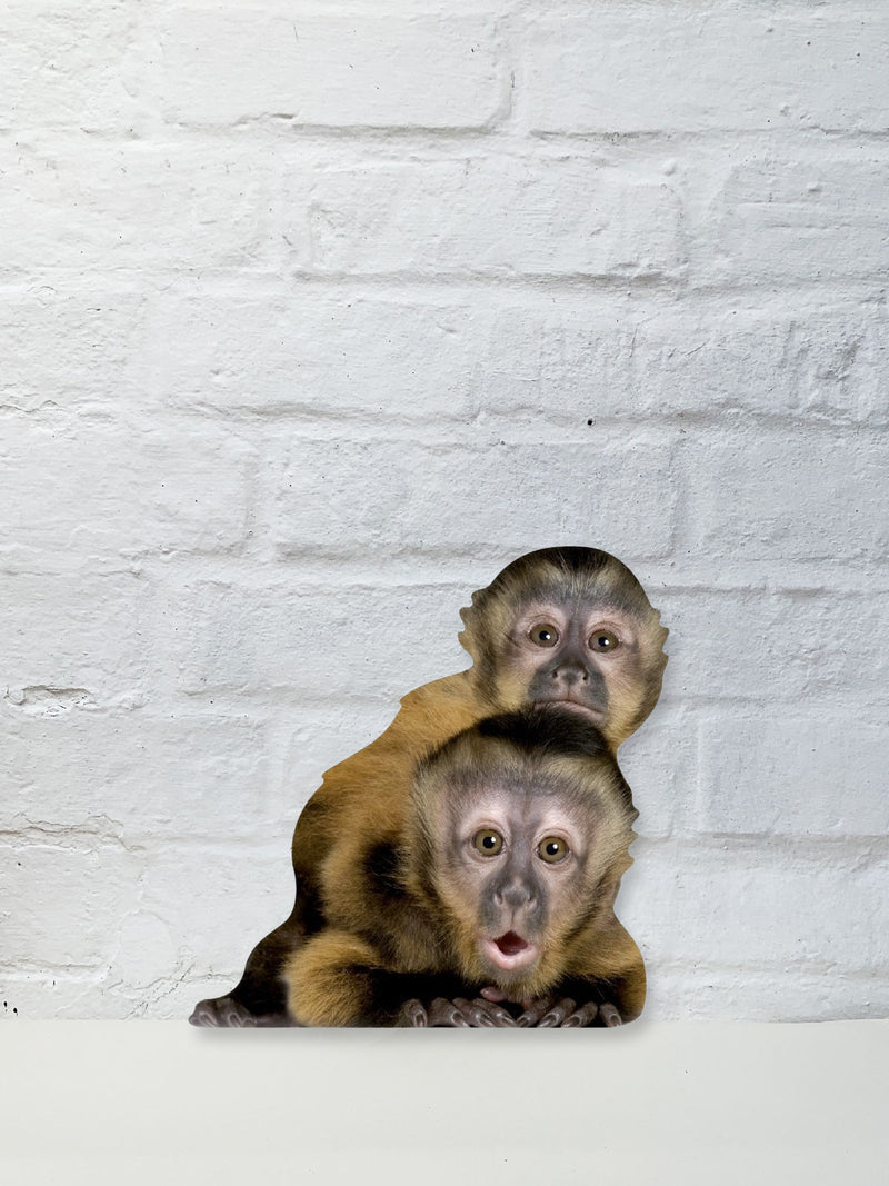 Koziel Cut Out - Capuchin Monkeys