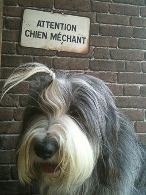 Koziel Cut Out - Attention chien mechant / Beware of the dog