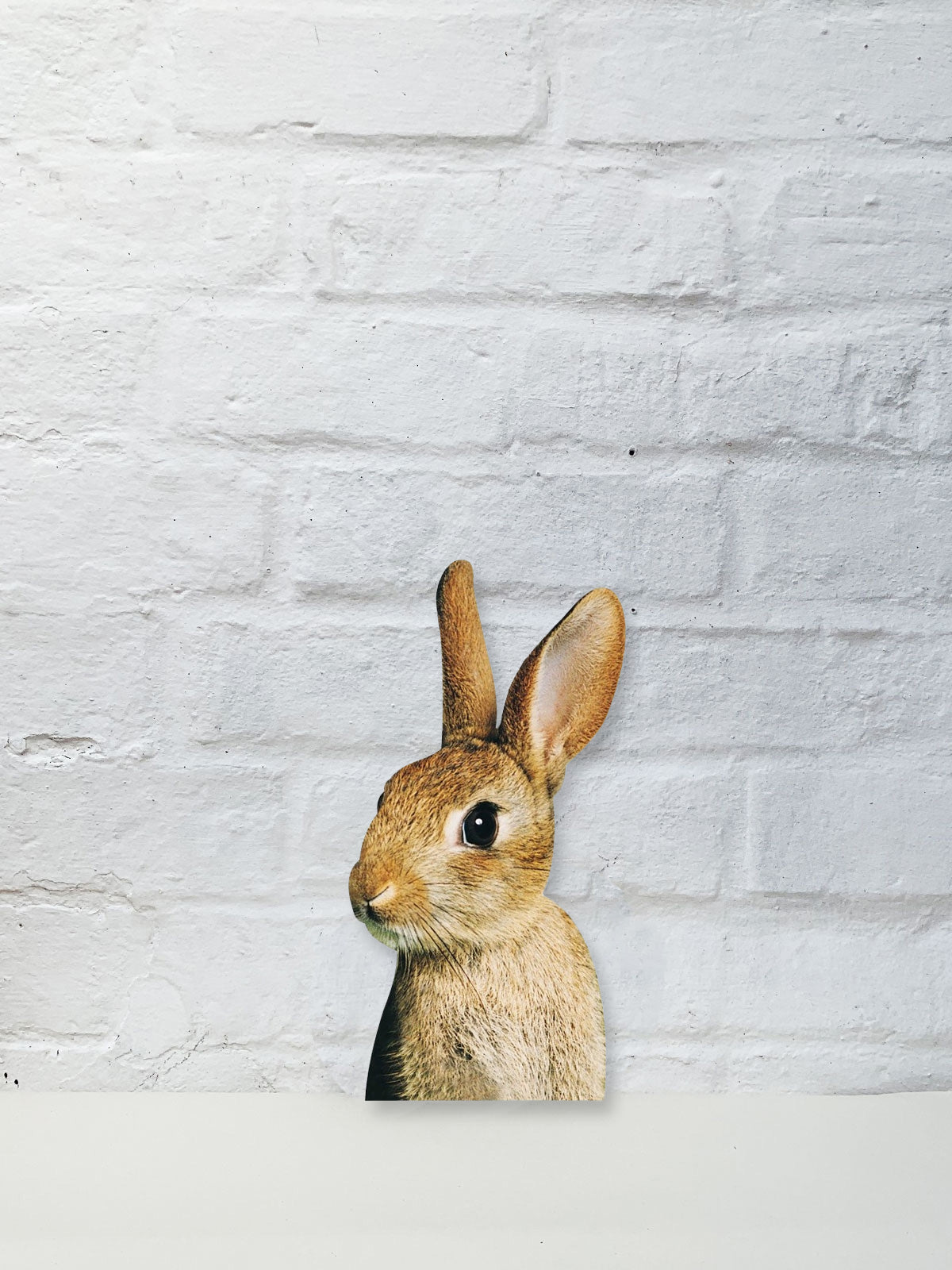 Koziel Cut Out - Rabbit Brown