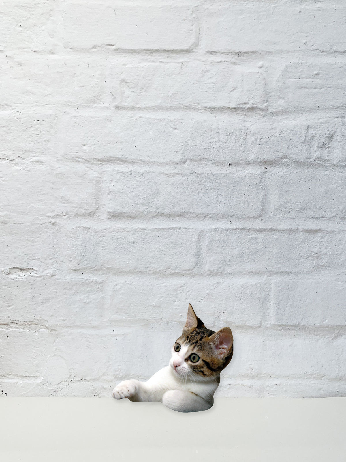 Koziel Cut Out - Antony the kitten