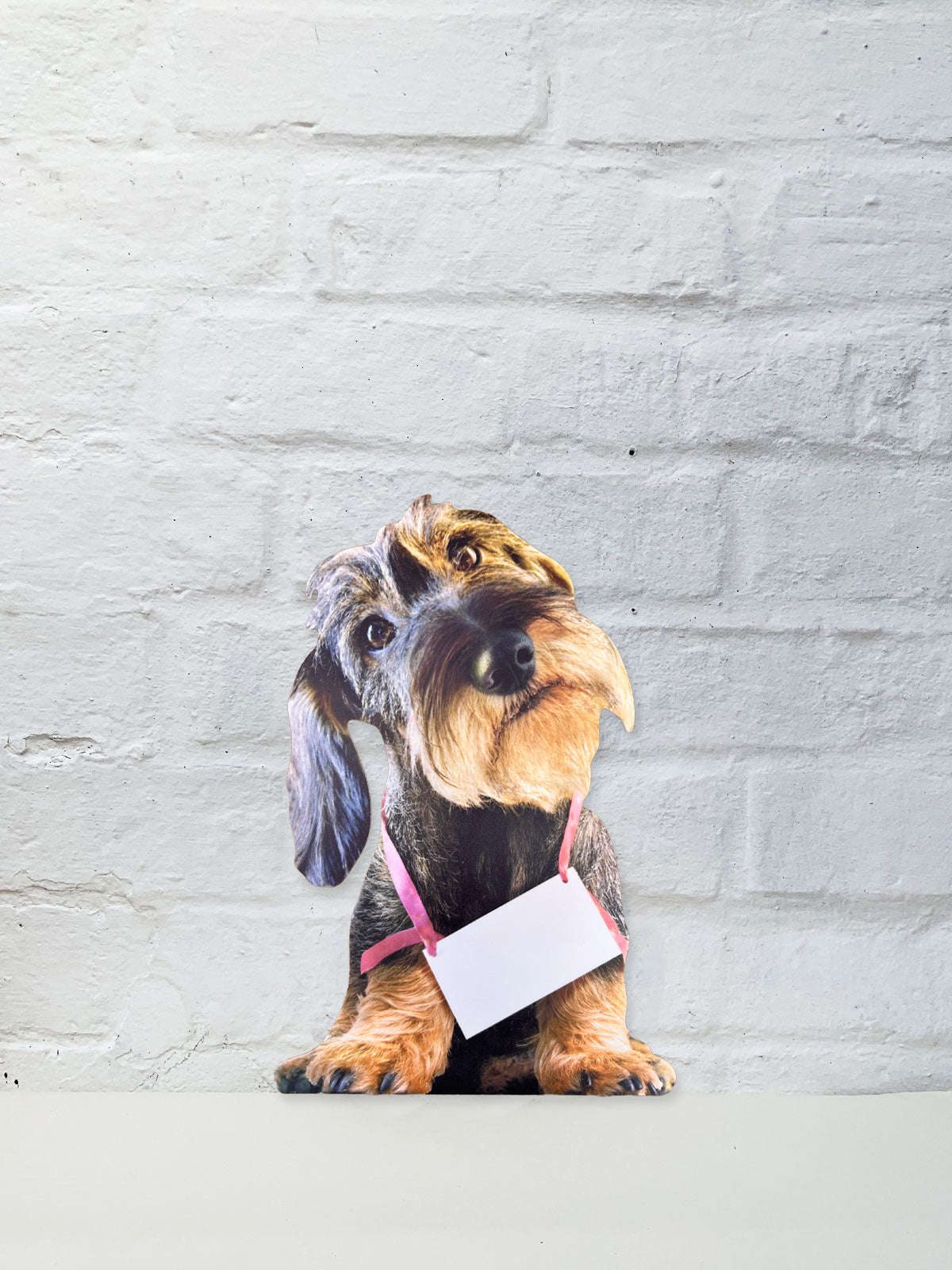 Koziel Cut Out - Ruby Dachshund