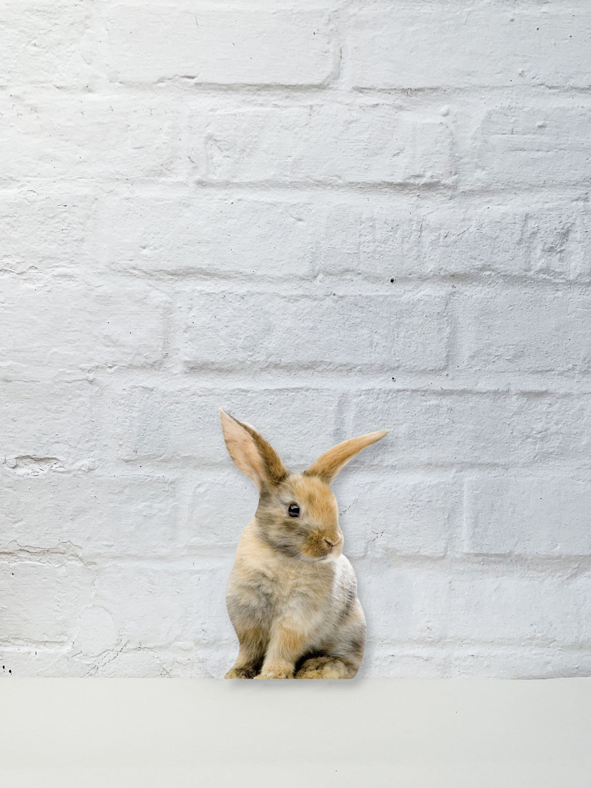 Koziel Cut Out - Rabbit Ginger Deny I