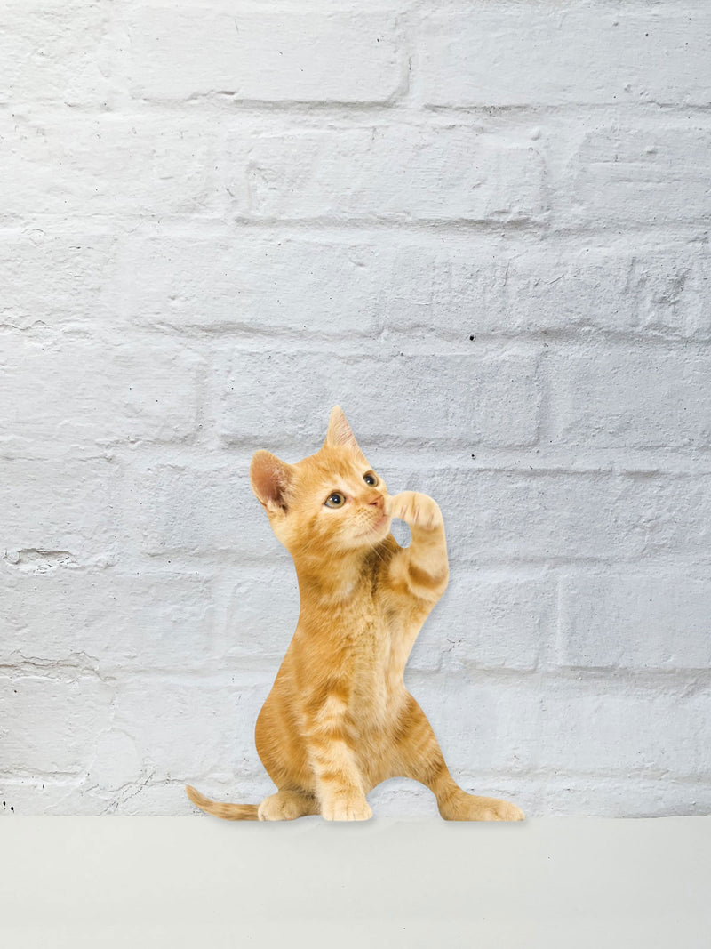 Koziel Cut Out - Ginger Cat