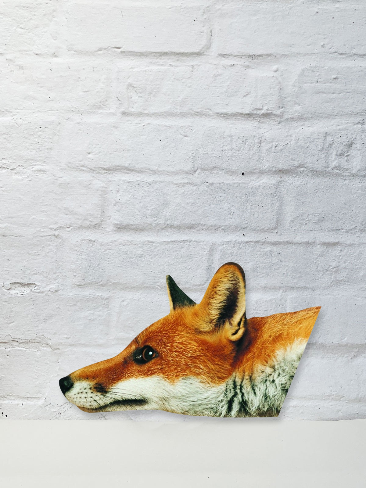 Koziel Cut Out - Krystof I the Fox