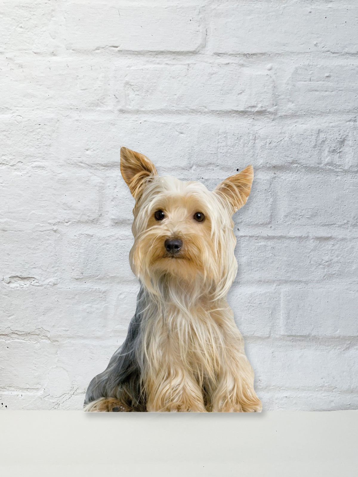 Koziel Cut Out - Yorkie Terrier