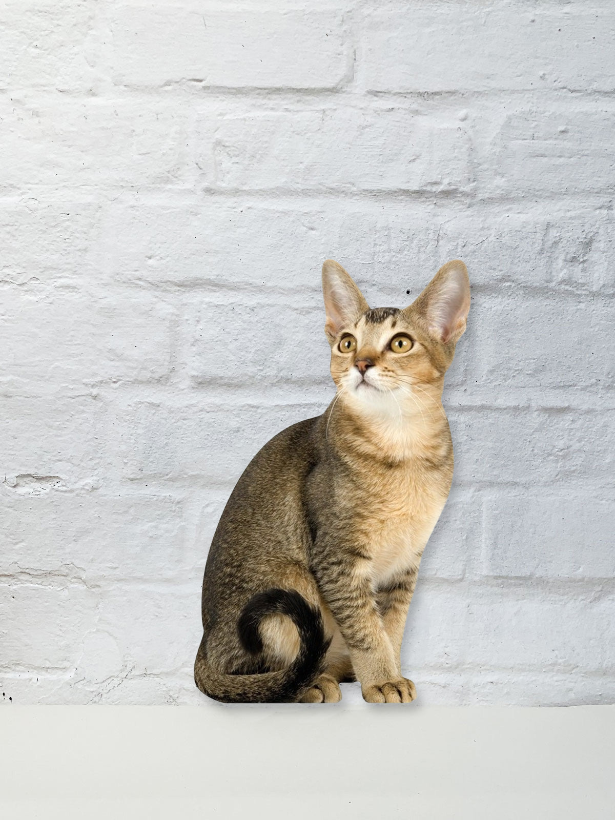 Koziel Cut Out - Brown Sitting Cat