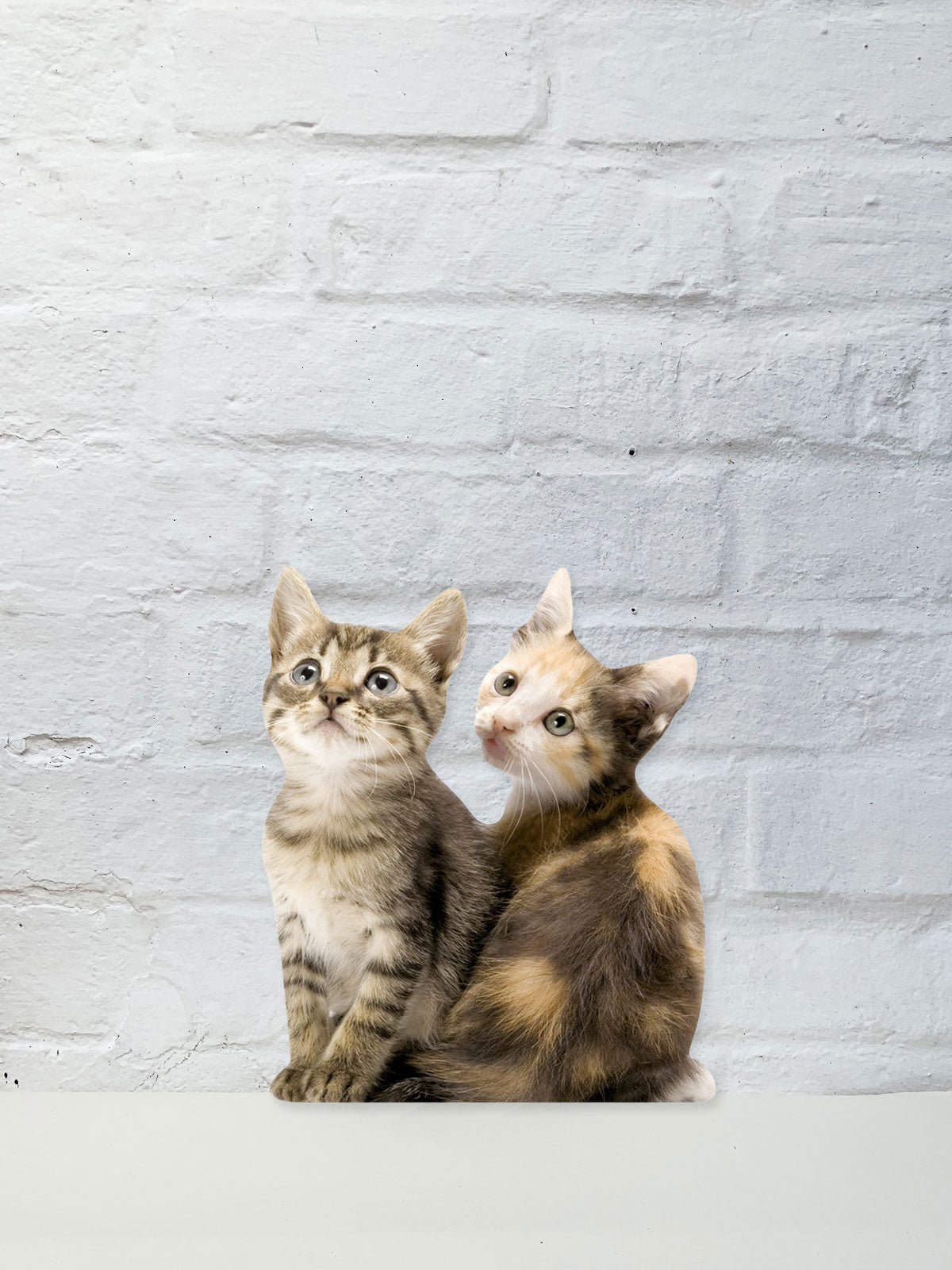 Koziel Cut Out - Duo Cat