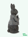 Garden Statue Mr Rabbit with Carrot