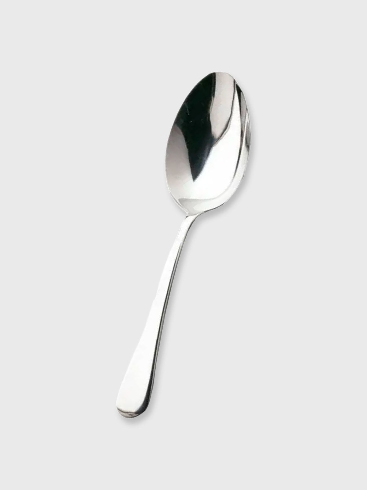 Large Serving Spoon