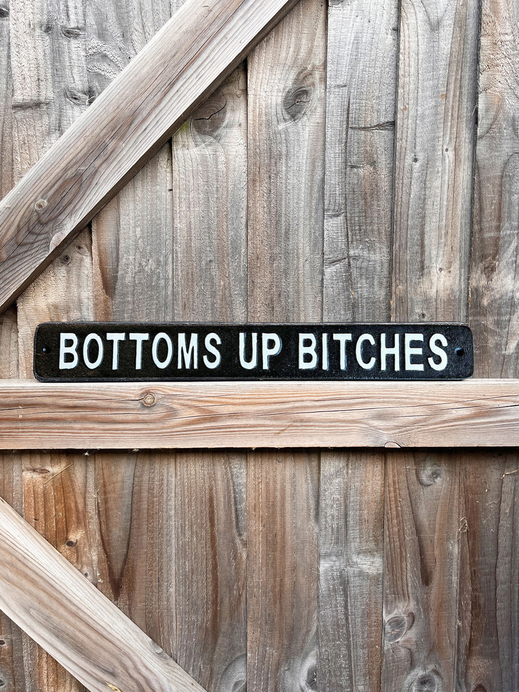 Bottoms Up Bitches Metal Sign