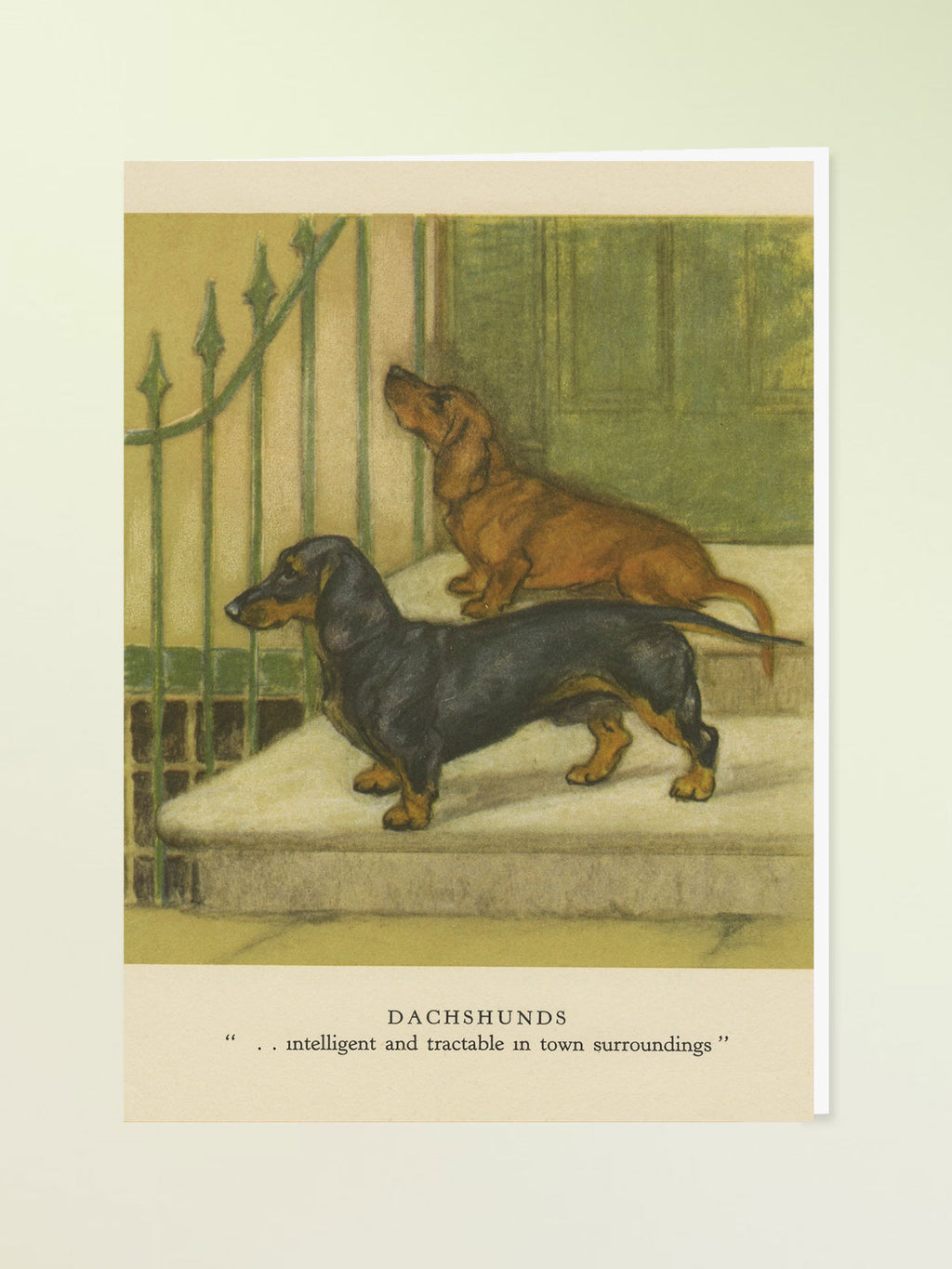 Madame Treacle Greeting Card - Dachshunds