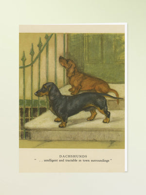 Madame Treacle Greeting Card - Dachshunds