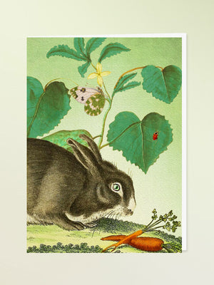 Madame Treacle Greeting Card - Hare and Carrot