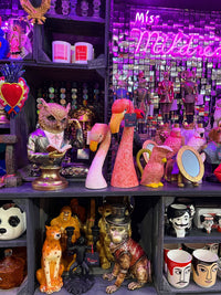 Wise Owl Reading a Book Bust - Bronze and Gold