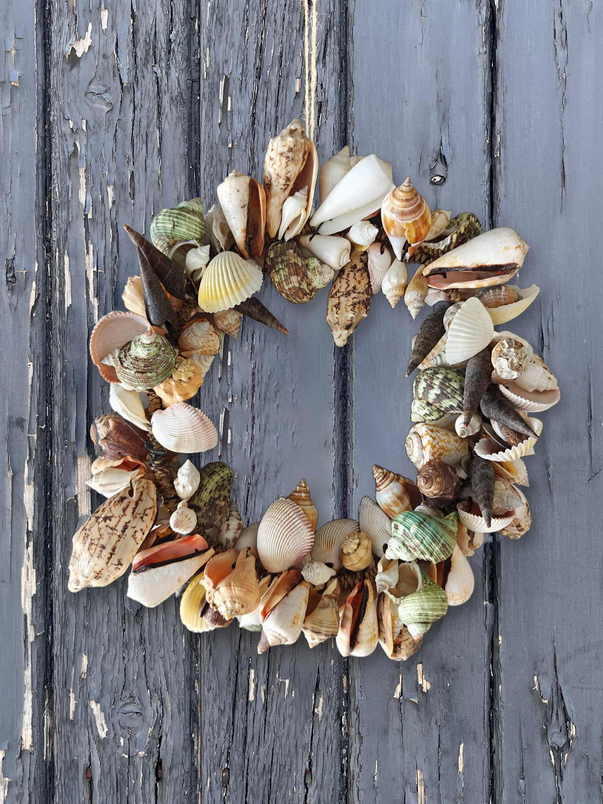 Mixed Colourful Shell Round Wreath - 28cm