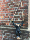 Monkey on Climbing Rope