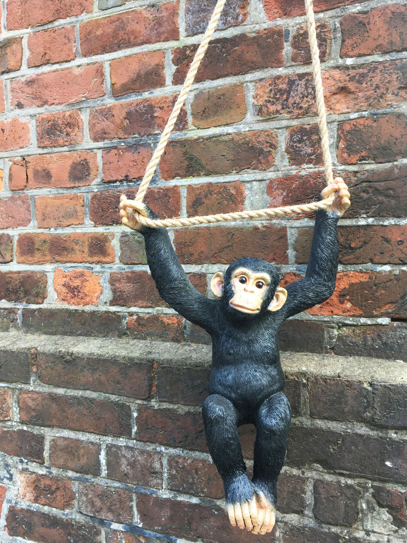 Monkey on Climbing Rope