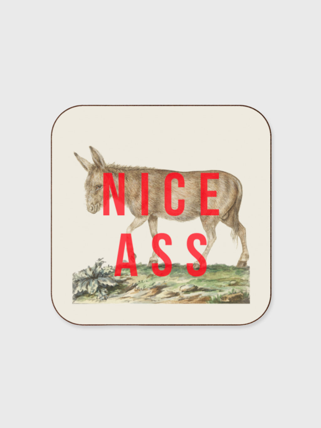 Coaster - Nice Ass