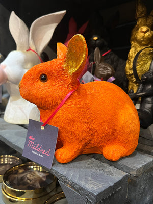 Orange Rabbit Bunny Moneybank