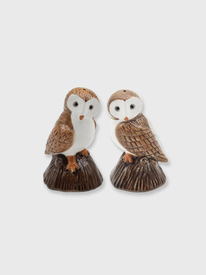 Owl Shaped Salt and Pepper Pots