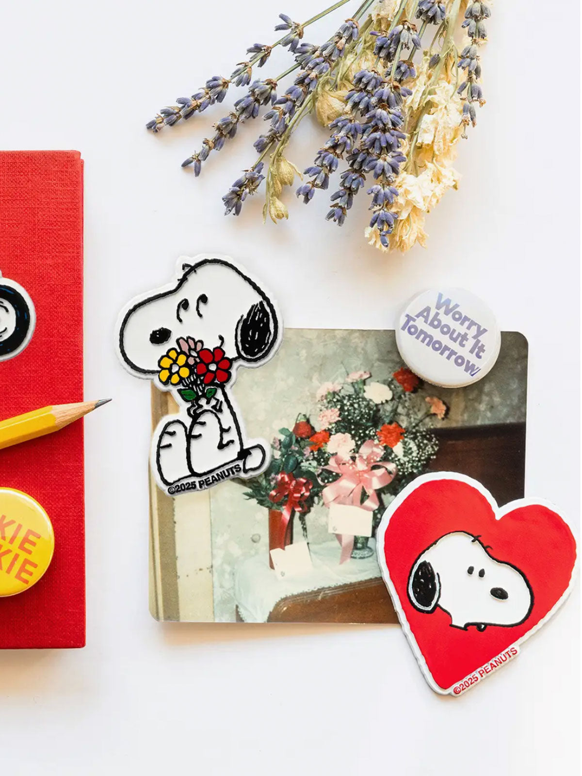 Peanuts X 3P4 Magnet - Snoopy Heart