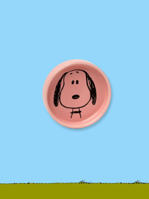 Peanuts Pin Dish - Visage