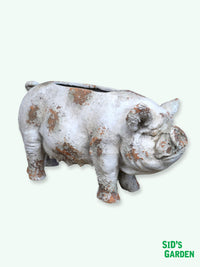 Pig Shaped Garden Planter - 60cm