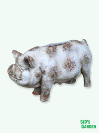 Pig Shaped Garden Planter - 60cm