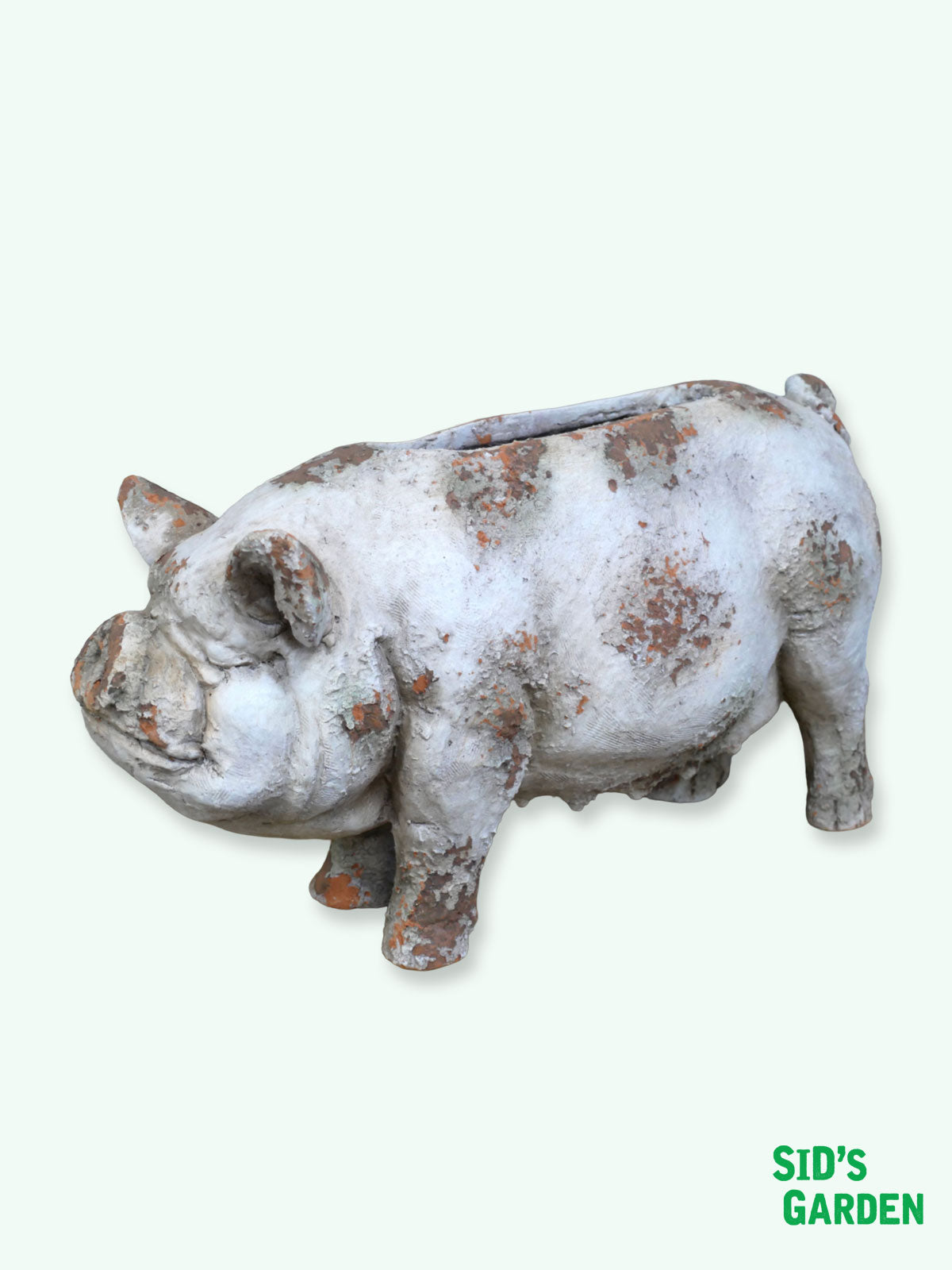 Pig Shaped Garden Planter - 60cm
