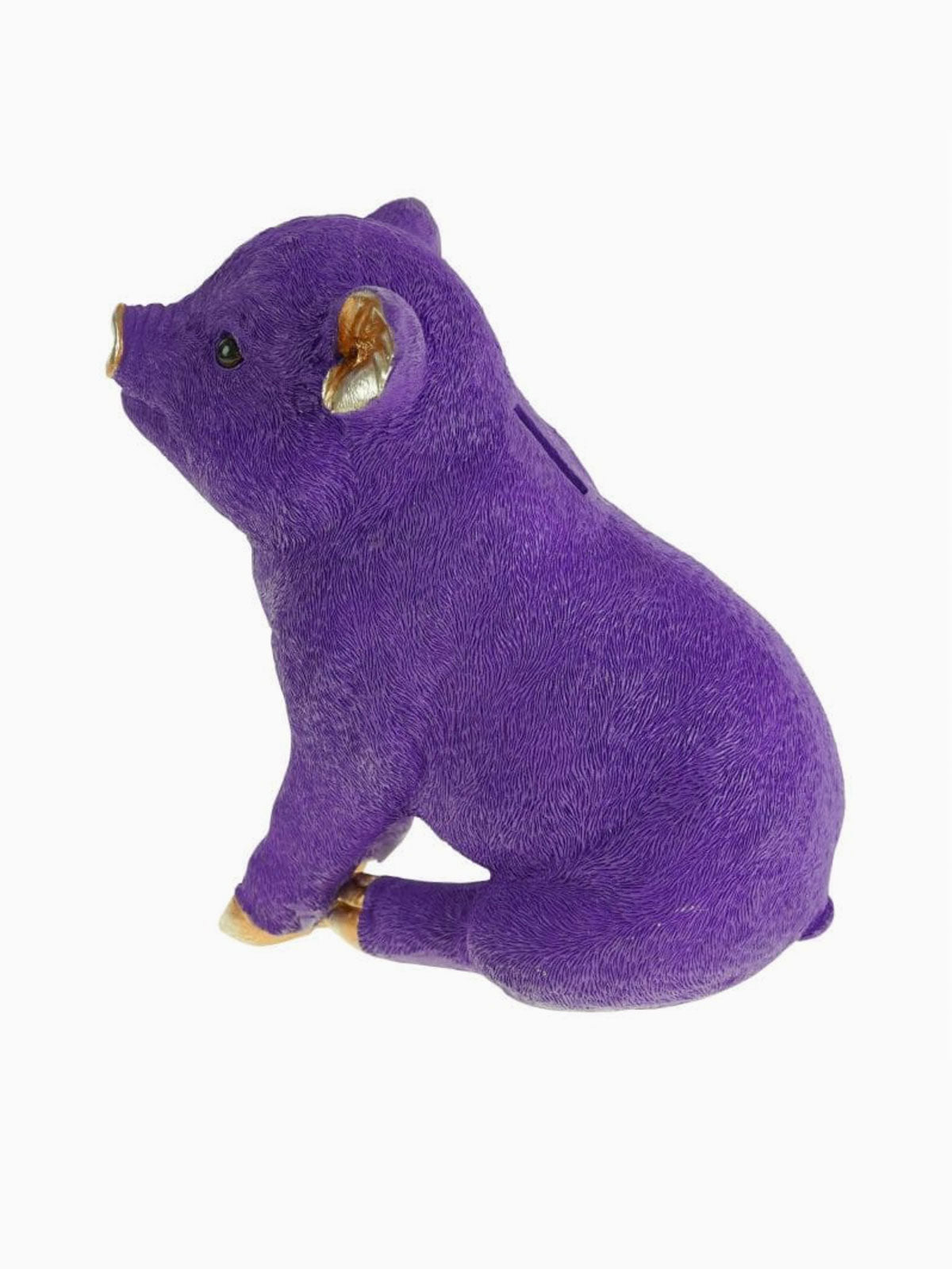 Purple Pig Piggy Money bank