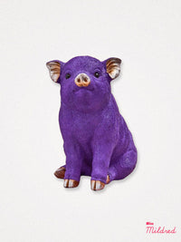 Purple Pig Piggy Money bank