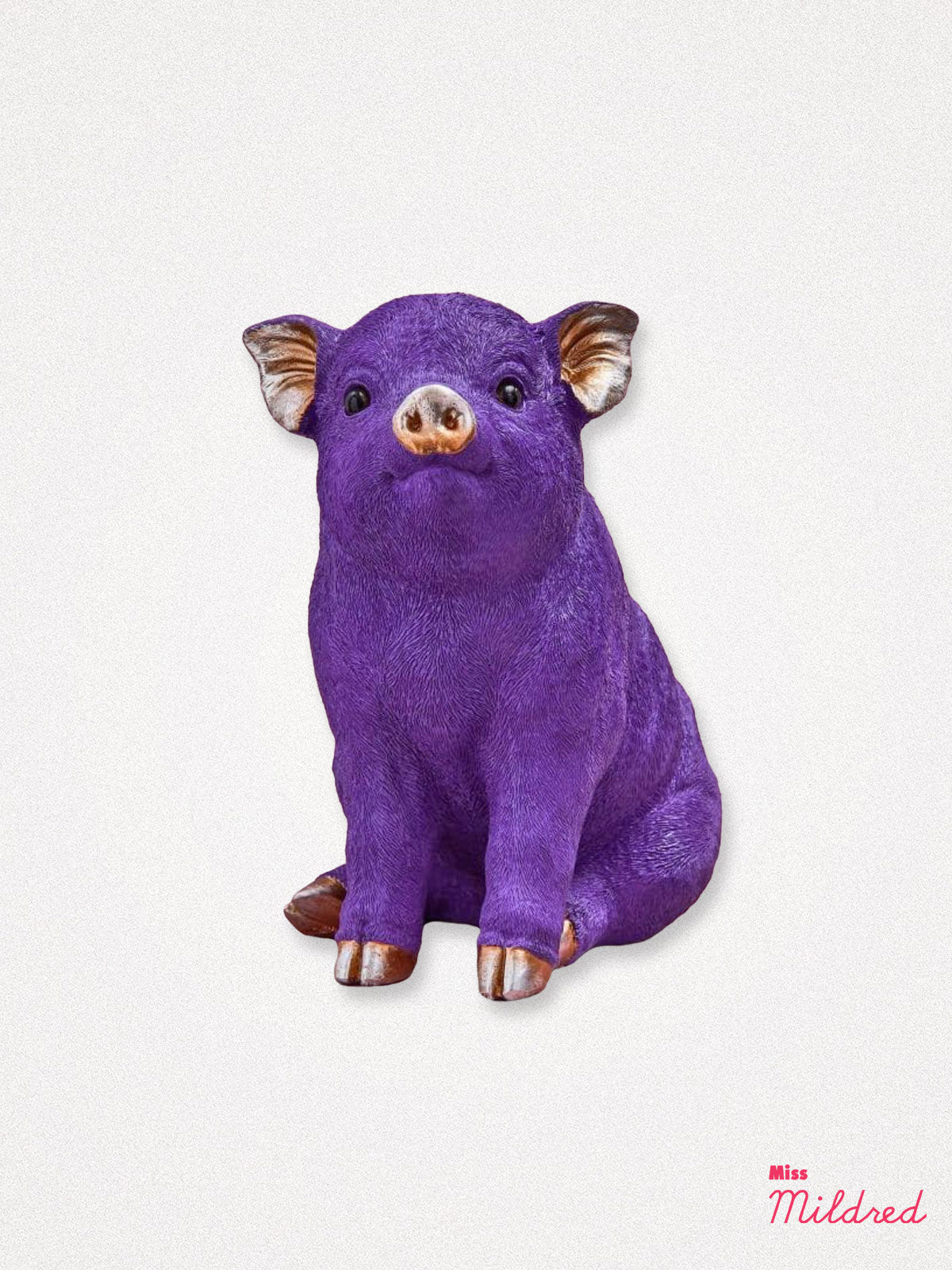 Purple Pig Piggy Money bank