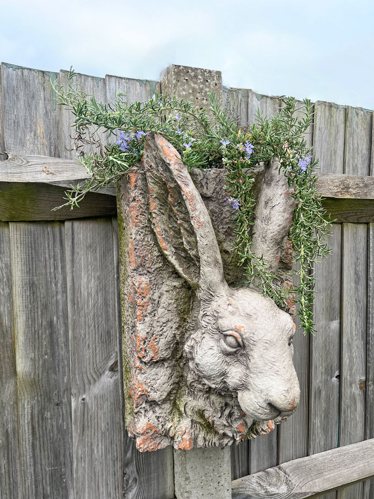 Large Rabbit Head Garden Wall Planter