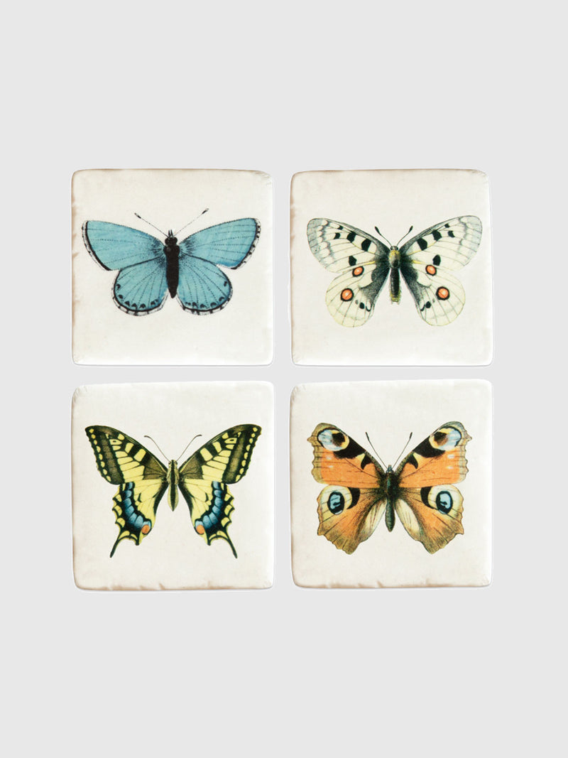 Butterflies Coasters - Set of 4