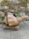 Shell Shaped Planter - 50cm