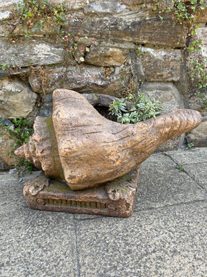 Shell Shaped Planter - 50cm