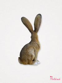 Smiling Rabbit / Hare Statue - 22cm