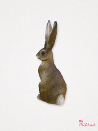 Smiling Rabbit / Hare Statue - 22cm