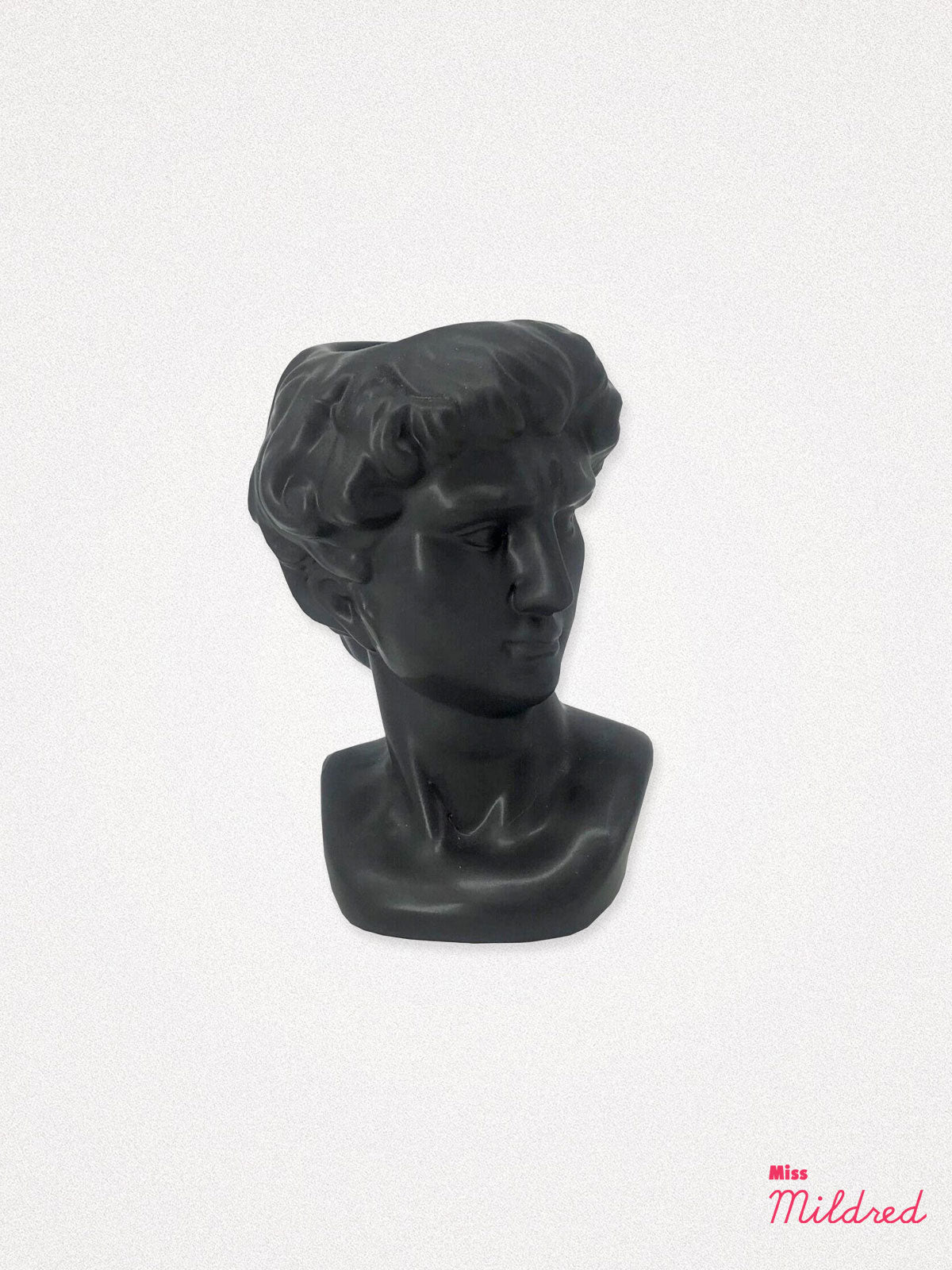 Small Greek David Head Bust Planter Pot - Black
