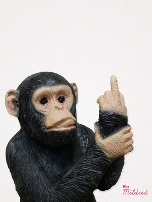 Up Yours Finger Monkey