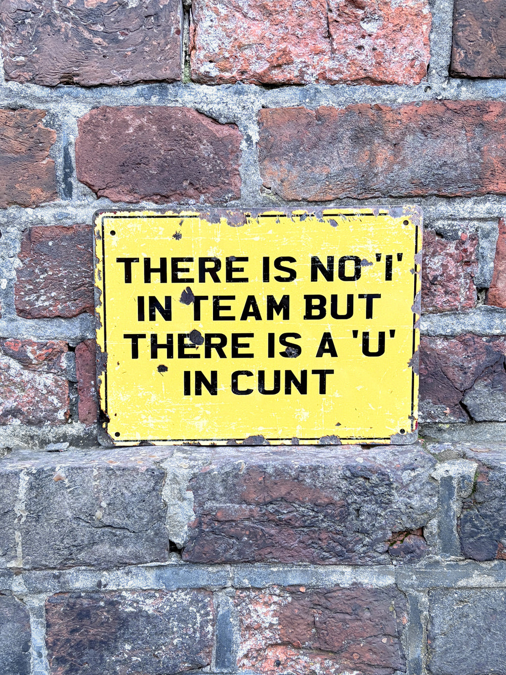 There is no I in team, But there is a U in - Tin Sign