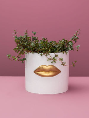 Quirky Lip Planter Pot - 13cm