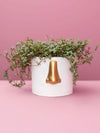 Quirky Nose Planter Pot - 18cm