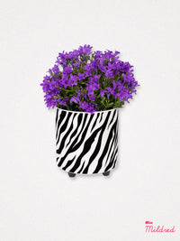 Zebra Print Ceramic Plant Pot - 13cm